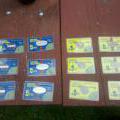 Shire Silver cards on display at PorcFest